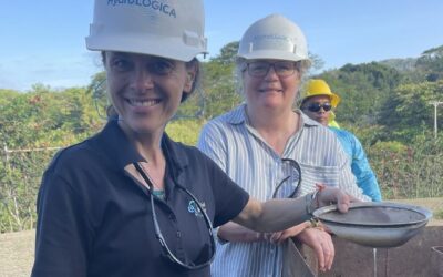 Building Capacity Together