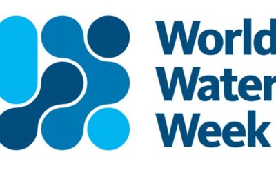 World Water Week