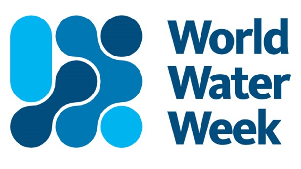 World Water Week
