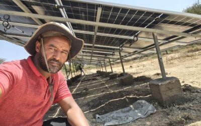 Meet Yirga Abay: The First Learner to Complete Five GWC Courses